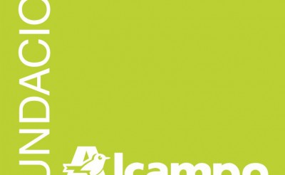 La Fundación Alcampo lanza una convocatoria de proyectos excepcional en todos los países donde está presente: “Juntos por la Juventud”