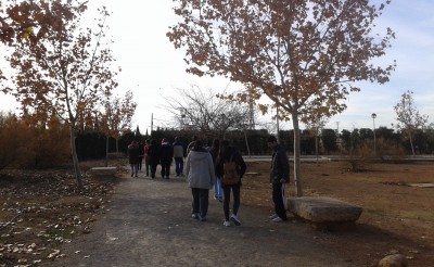 Más de 300 personas con TEA han disfrutado este año de vacaciones de ocio inclusivo gracias al programa "Turismo y Termalismo" del IMSERSO