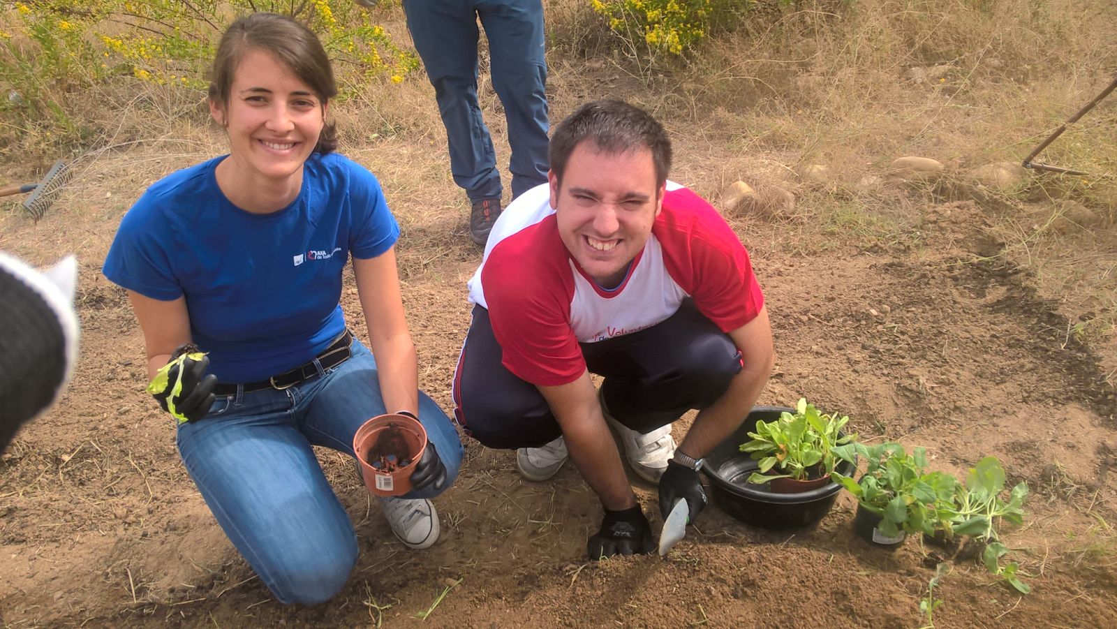 huerto_axa_aleph-tean_octubre_2017_28