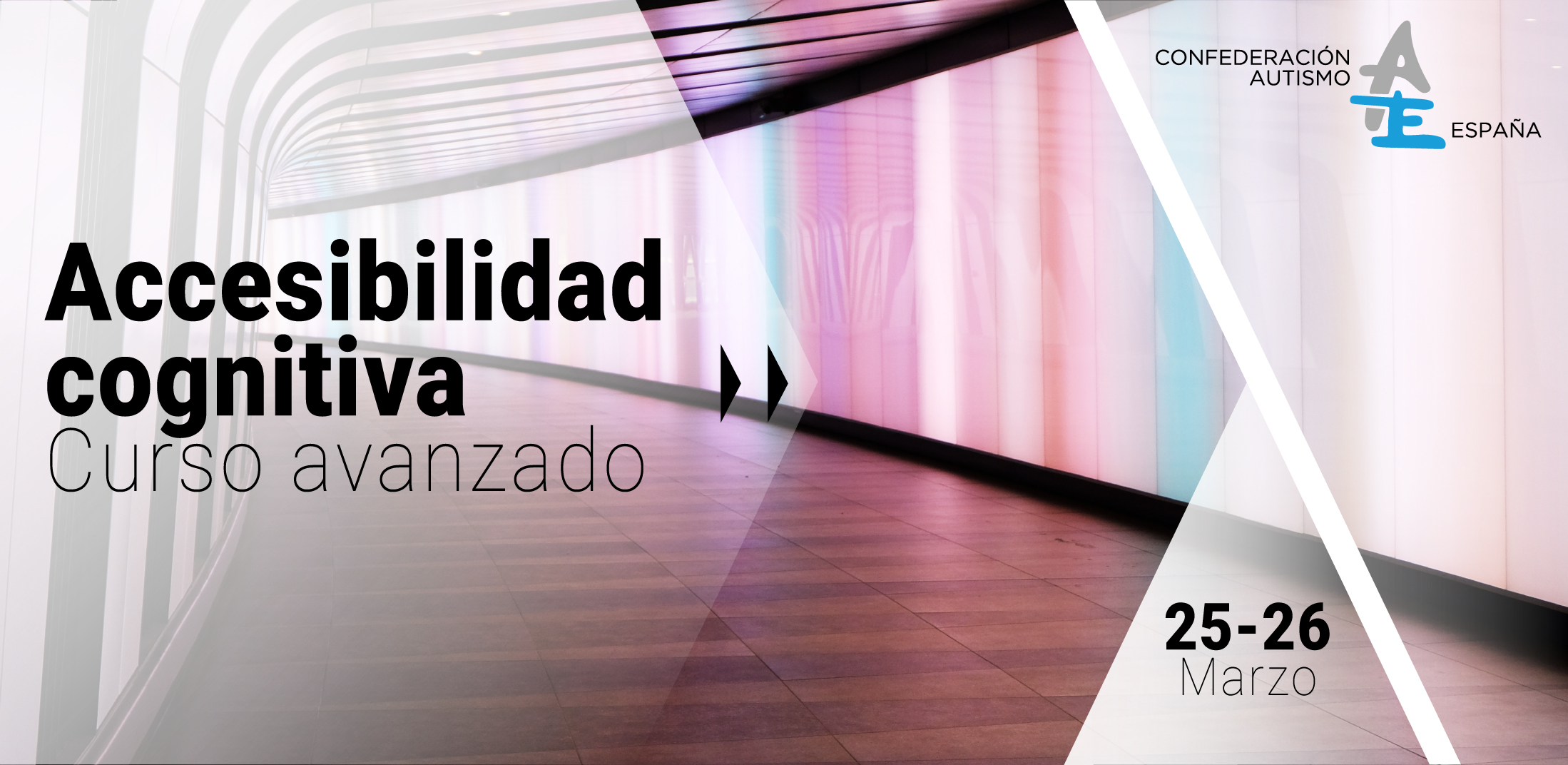 accesibilidadcognitiva