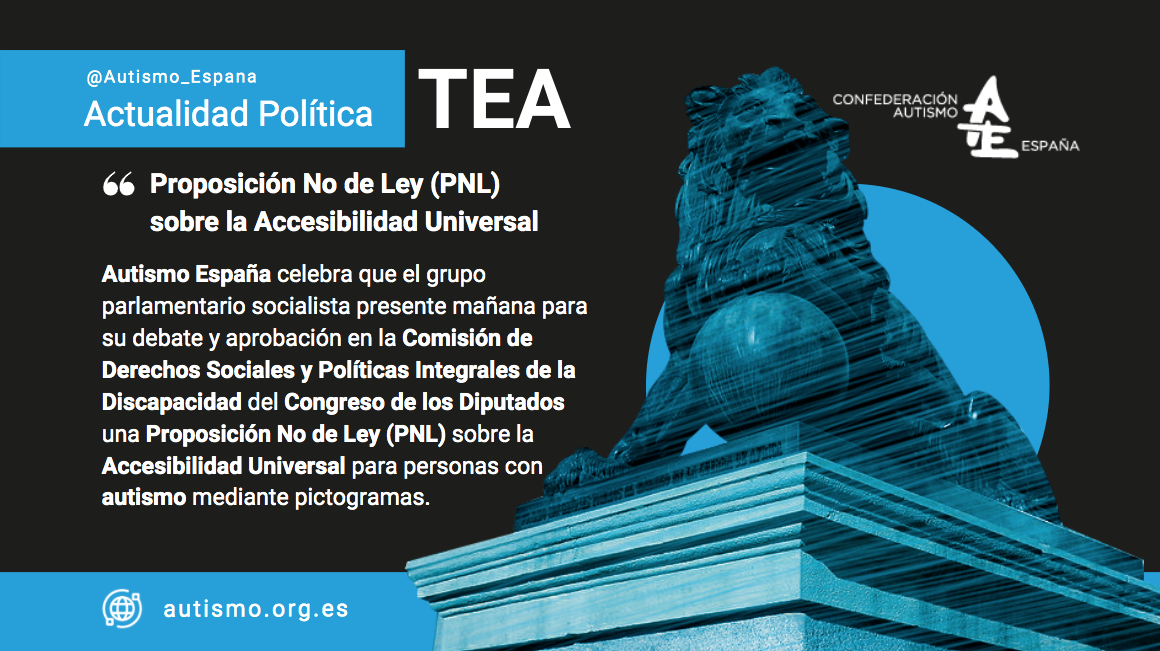 noticiaactualidadpolitica_pnlaccesibilidad