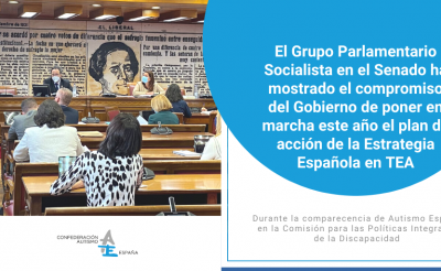 El grupo parlamentario socialista del Senado muestra el compromiso del Gobierno de poner en marcha este año el plan de acción de la Estrategia Española en TEA