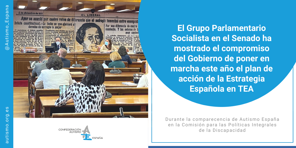 Comparecencia del director general de Autismo España, Jesús García Lorente, en el Senado de España.