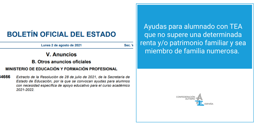 posicionamientosautismoespana_tw_5