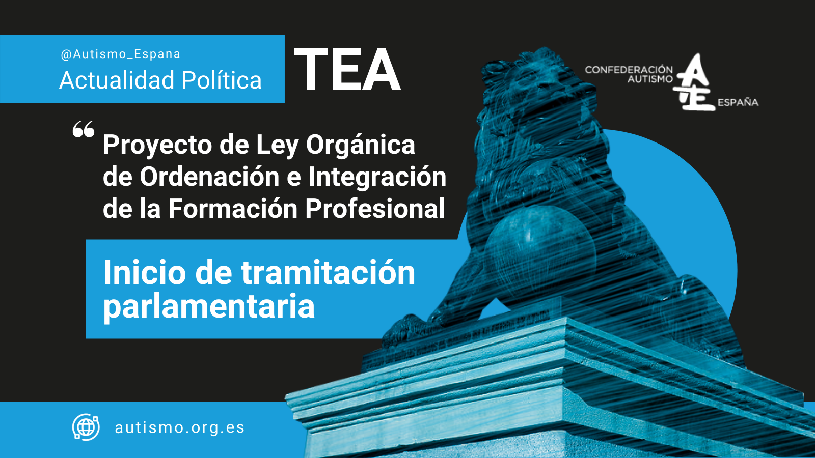 leyorganicaordenacionintegracionfp_incidenciapoliticaautismoespana