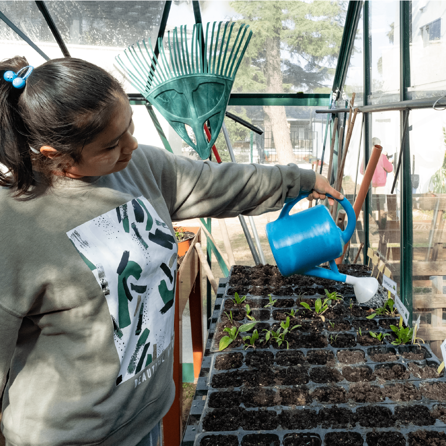 Niña con una regadera en la mano regando plantas en un invernadero