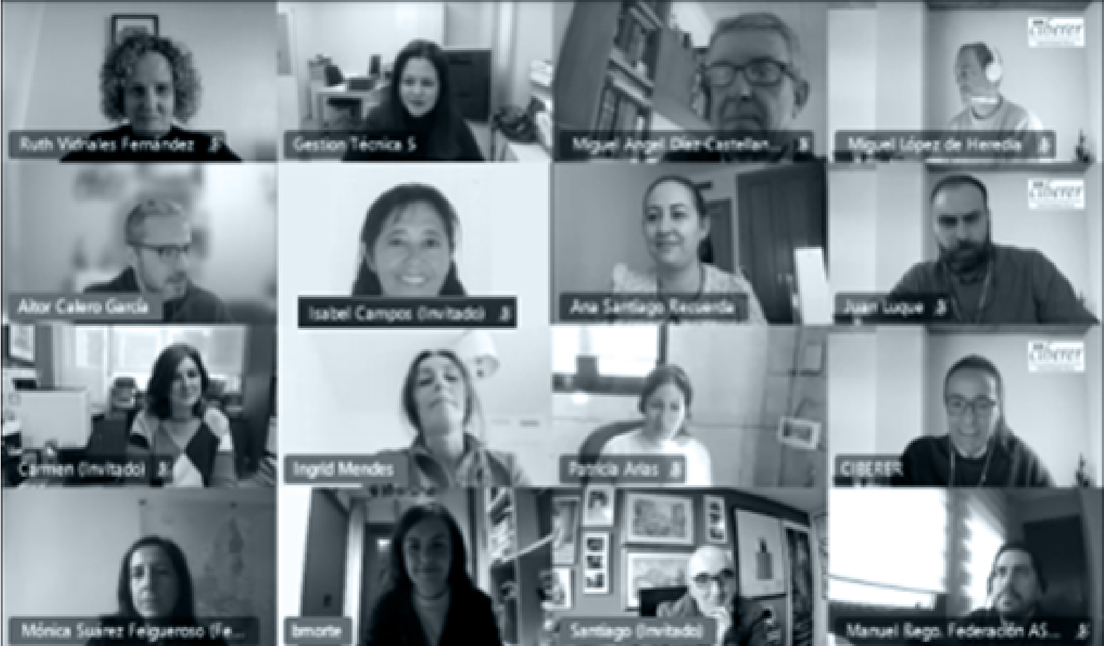 Captura de pantalla de una reunión por videoconferencia con los miembros de CIBERER en 2020