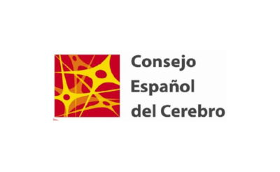 Autismo España entra a formar parte del Consejo Español del Cerebro