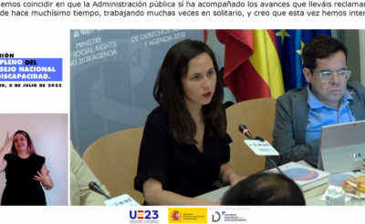 El Consejo Nacional de Discapacidad aprueba el Plan de acción de la Estrategia Española en TEA