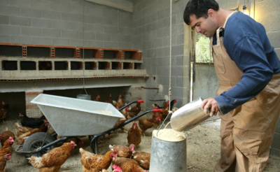 Las personas con autismo que residen en el ámbito rural experimentan mayor discriminación