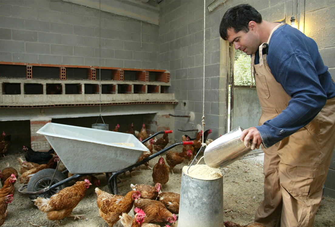 Discriminación de personas con autismo en ámbito rural