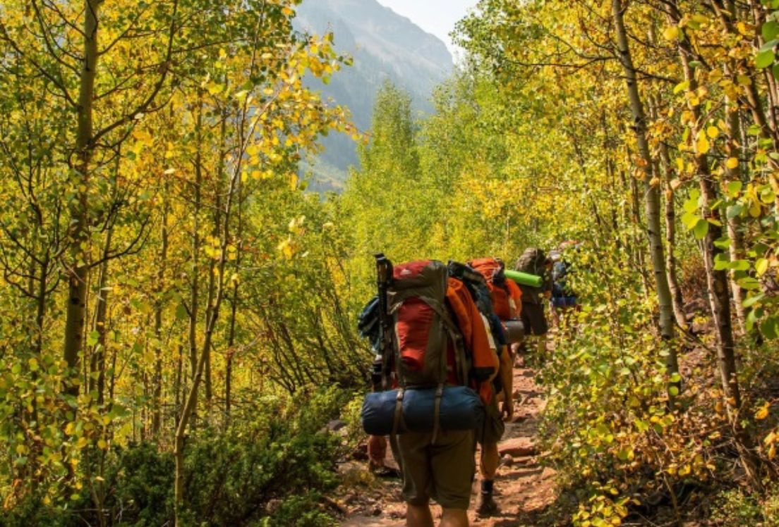 Imagen en la que se ven varios mochileros de espalda subiendo por la senda de un bosque frondoso con la montaña al fondo.